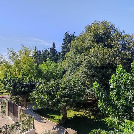 Mas Provencal Au Coeur Des Vergers Vallabrègues Εξωτερικό φωτογραφία