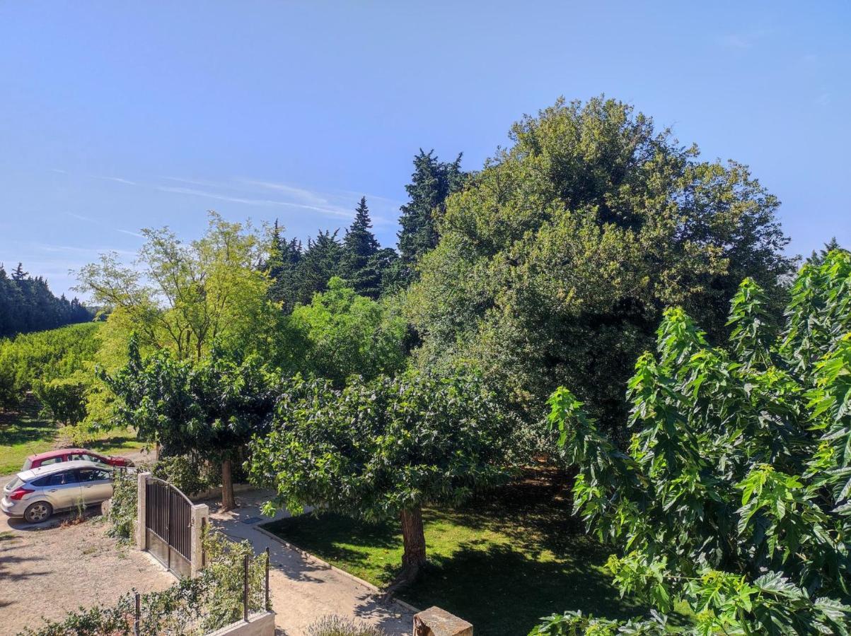Mas Provencal Au Coeur Des Vergers Vallabrègues Εξωτερικό φωτογραφία